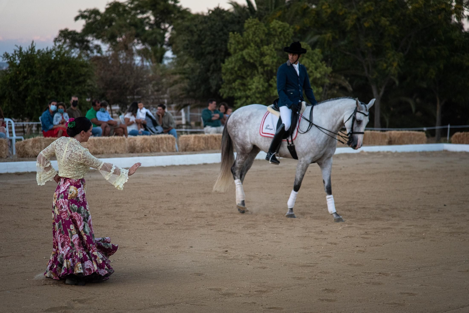 El espectáculo Flamencab en imágenes
