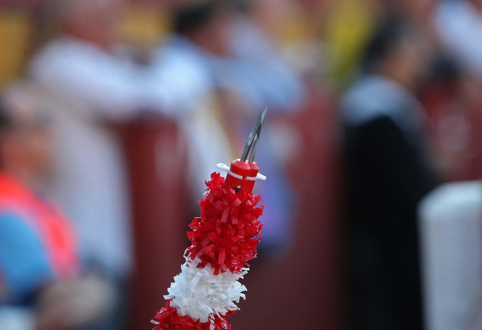 Las imágenes de la reaparición de José Tomás en Algeciras