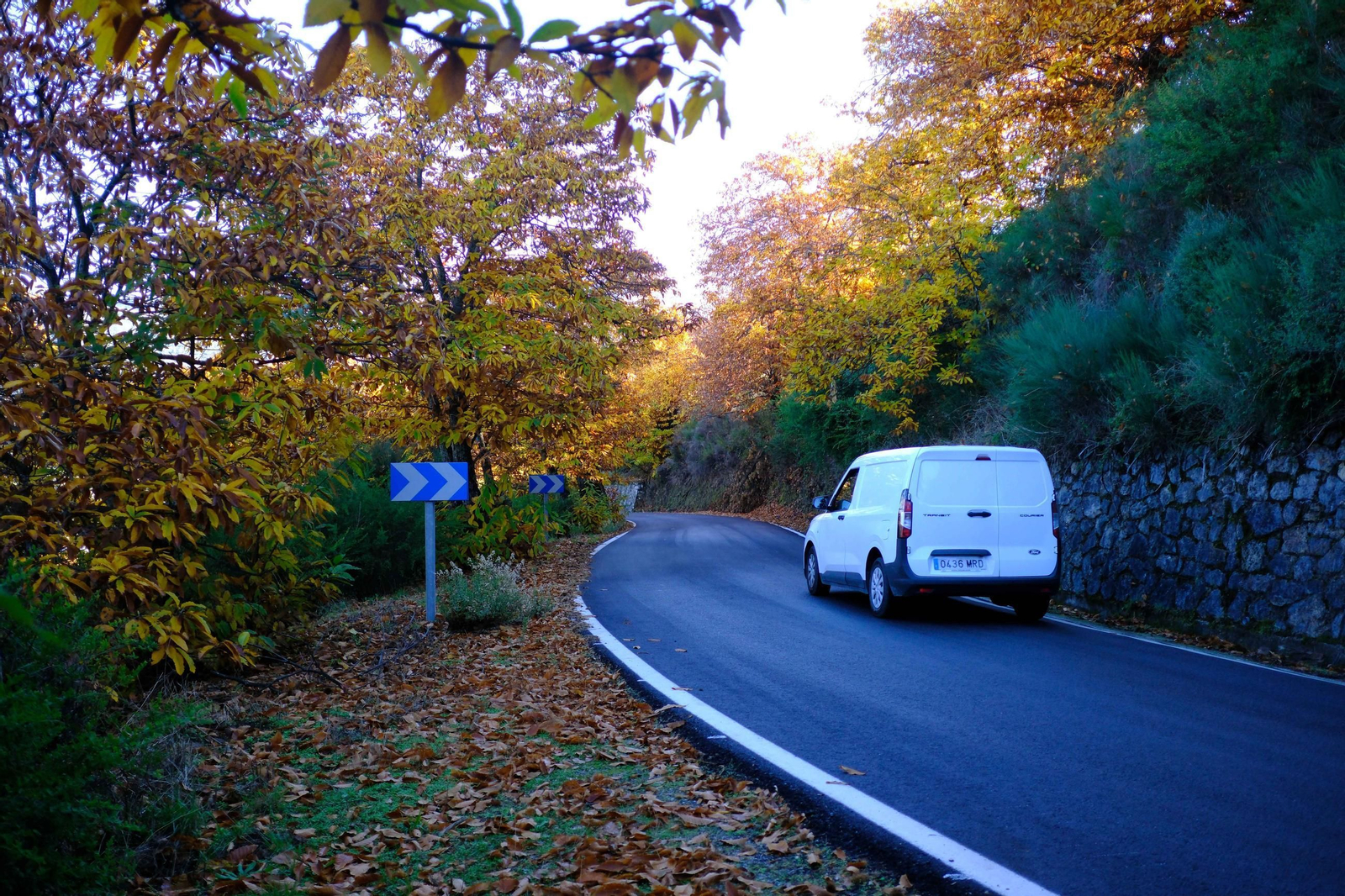 El Bosque de Cobre, en imágenes