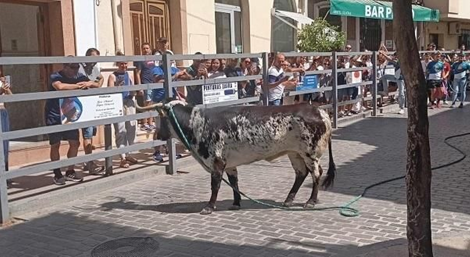 Las imágenes del toro de cuerda de Carcabuey