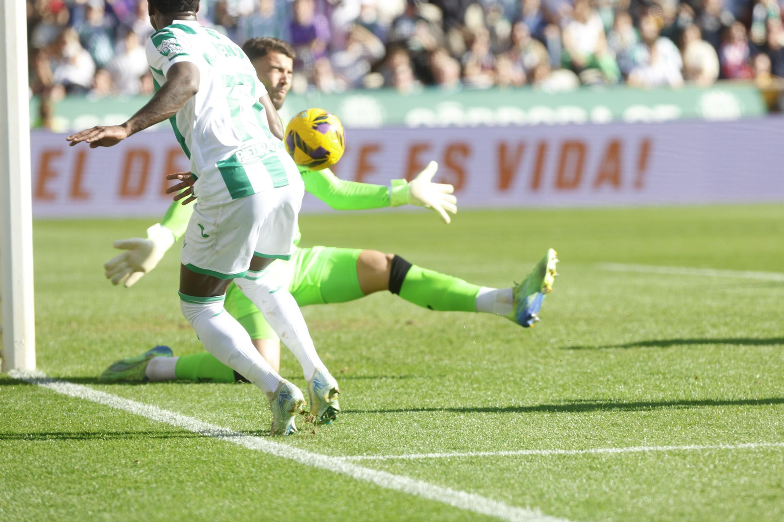 Las mejores fotos del ambiente en el Córdoba CF - Almería en El Arcángel
