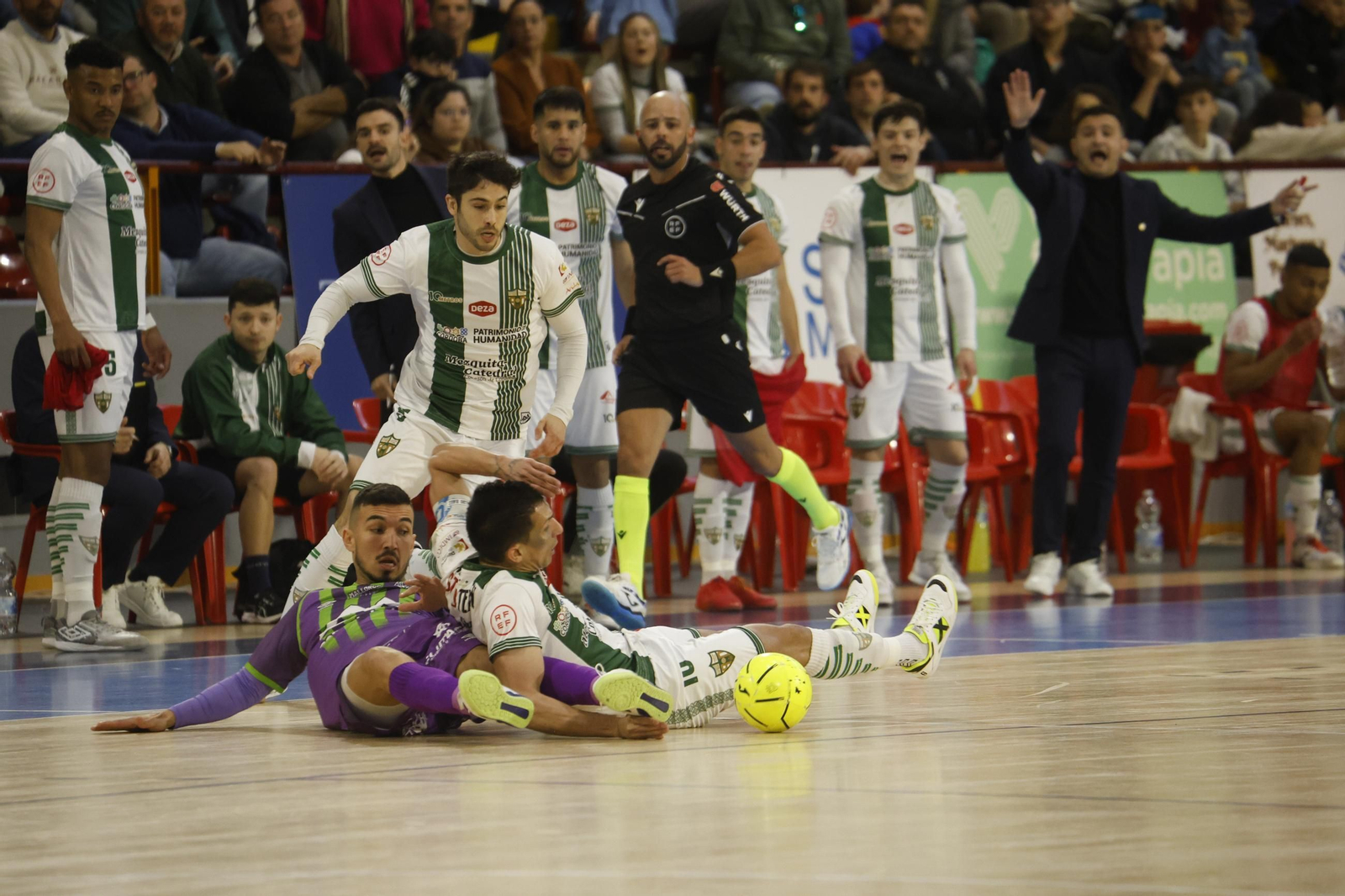 Las mejores fotos del ambiente en Vista Alegre para el Córdoba Futsal - Palma.