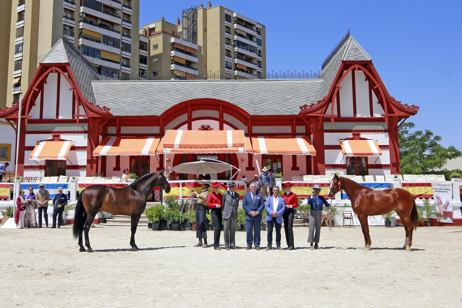 Trofeos de los concursos de Enganches y Morfológicos en la Feria de Jerez