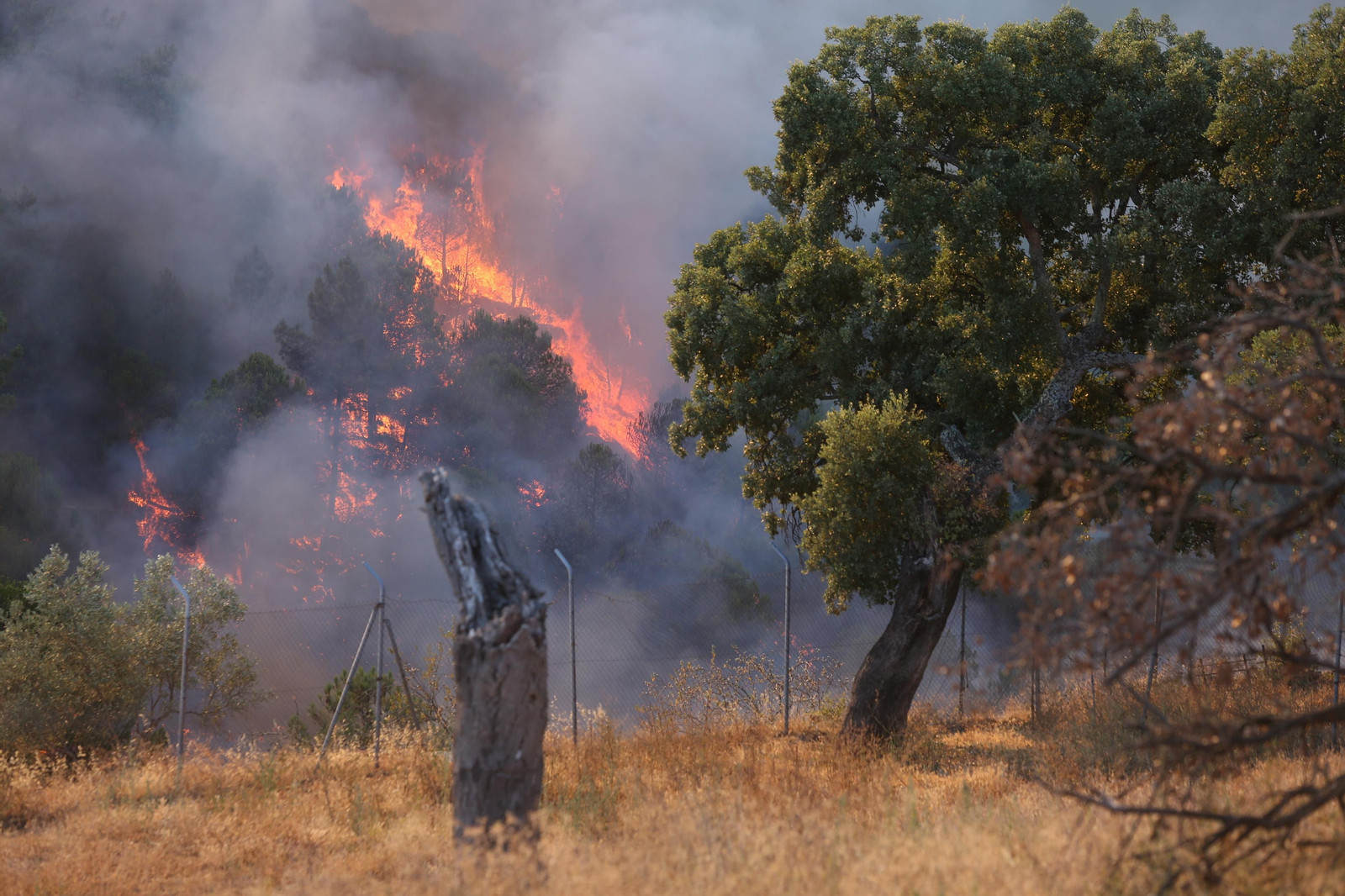 El incendio de Riotinto en imágenes