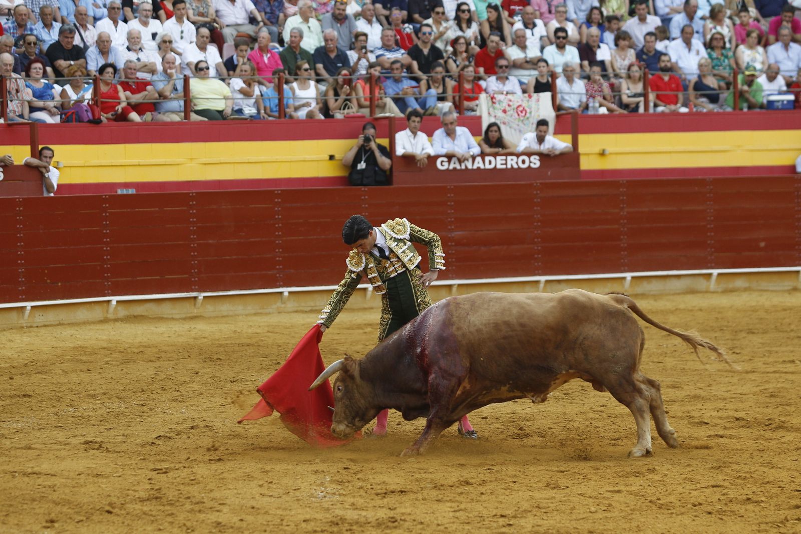 Fotogalería corrida toros Feria Santa Ana-Roquetas de Mar-El Juli-Perera-Aguado