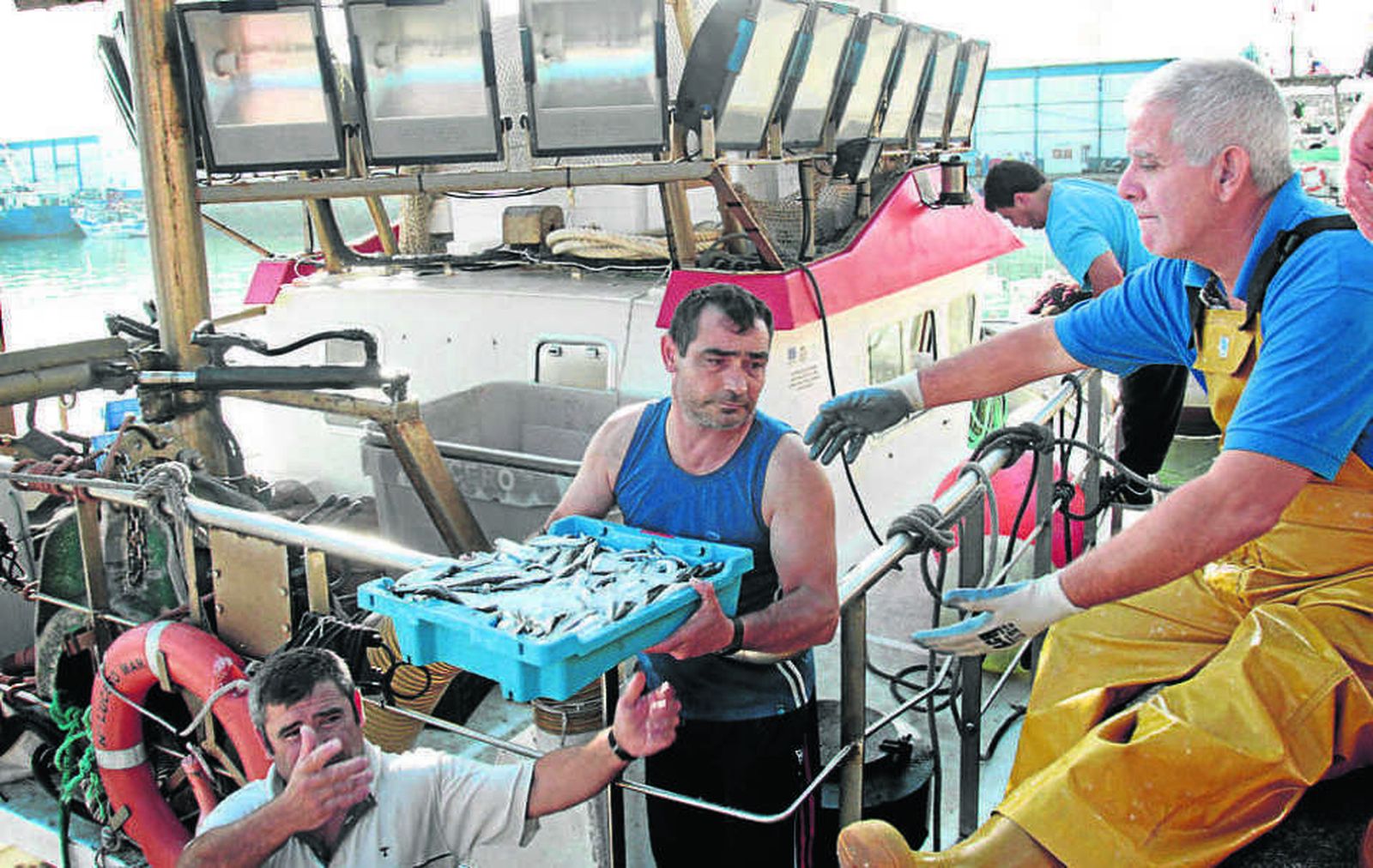 Pescadores descargando boquerones en el muelle de Cádiz.