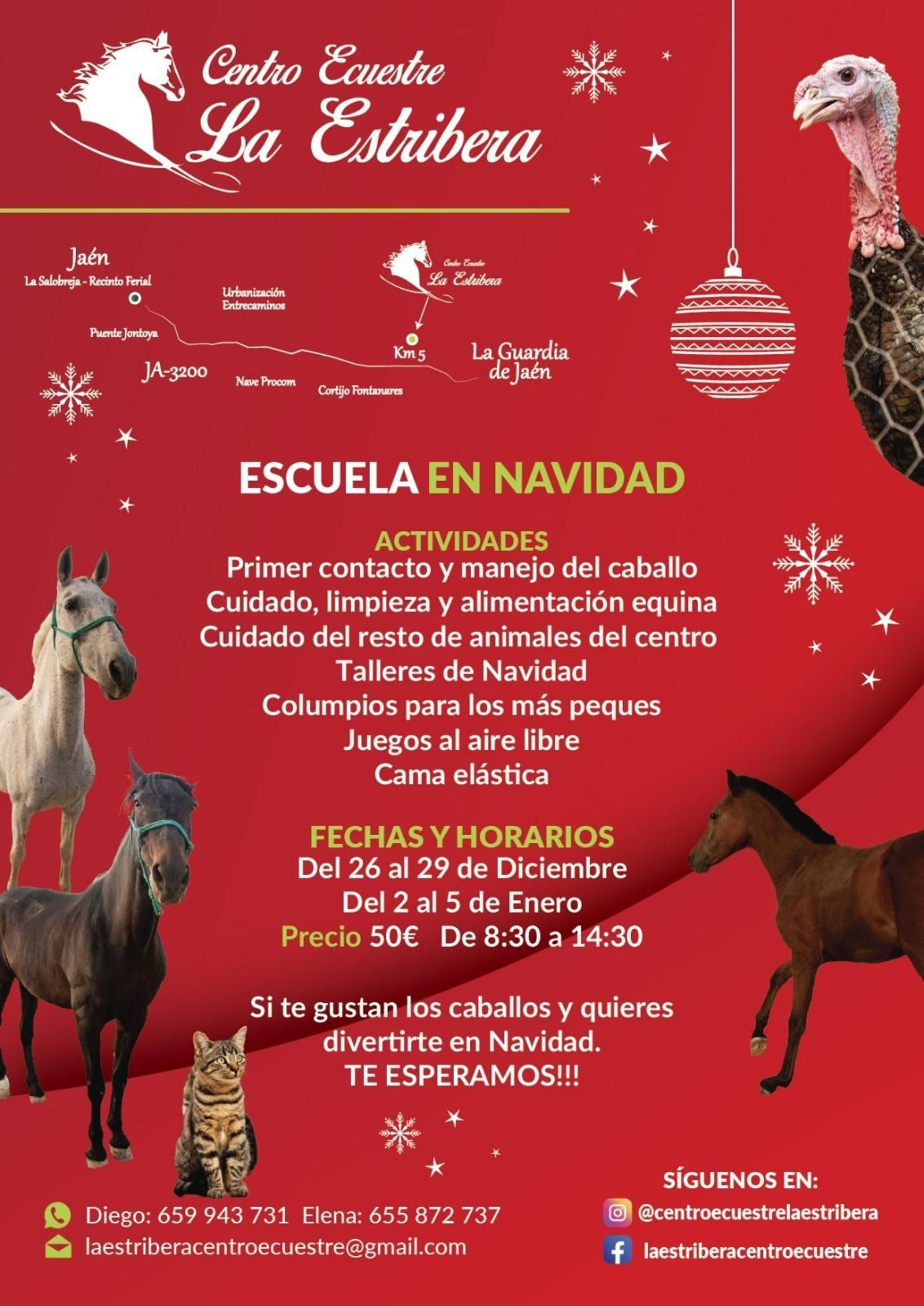 Cartel de actividades navideñas del centro ecuestre.