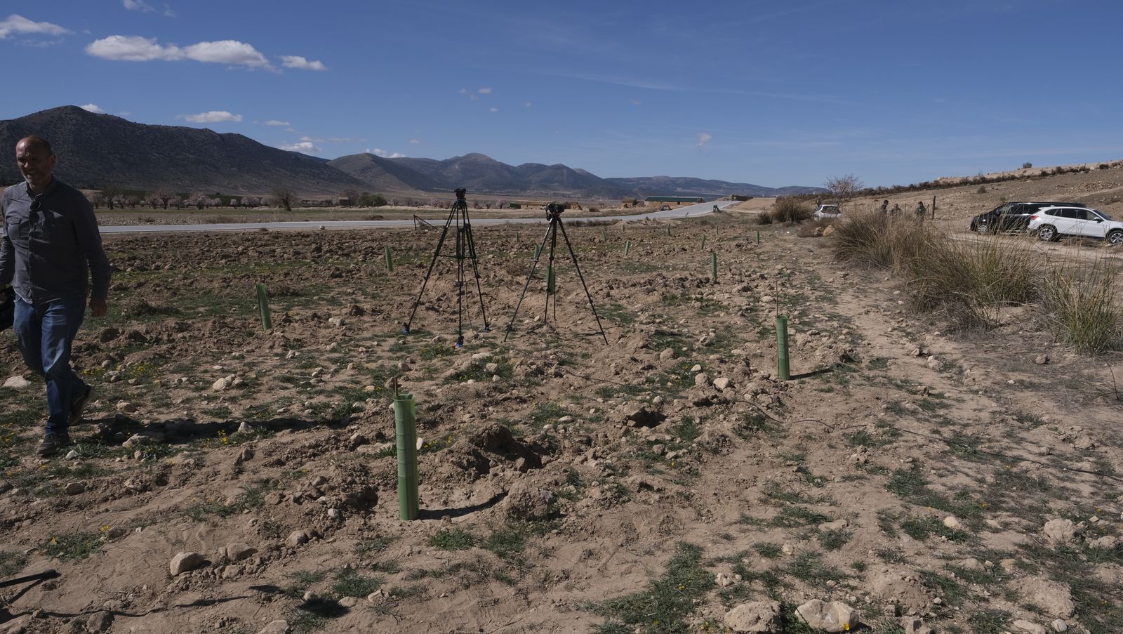 Cajamar pone 'la primera planta' para la reforestación de Sierra María-Los Vélez