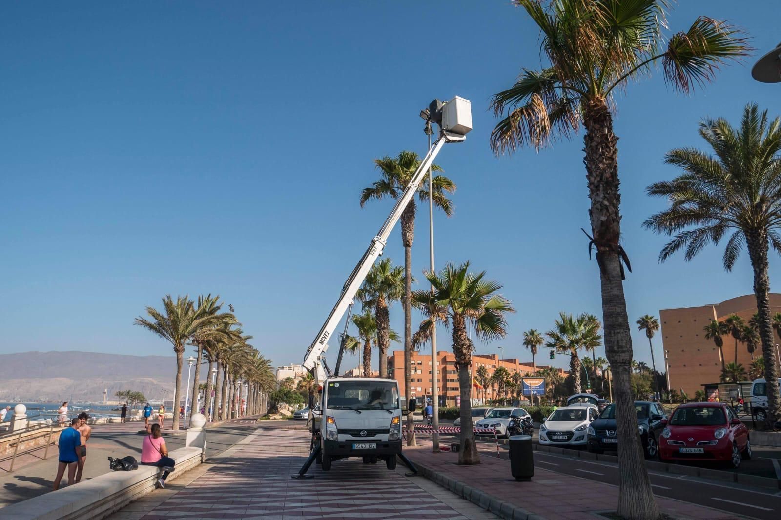 Trabajos sobre la iluminación del paseo marítimo