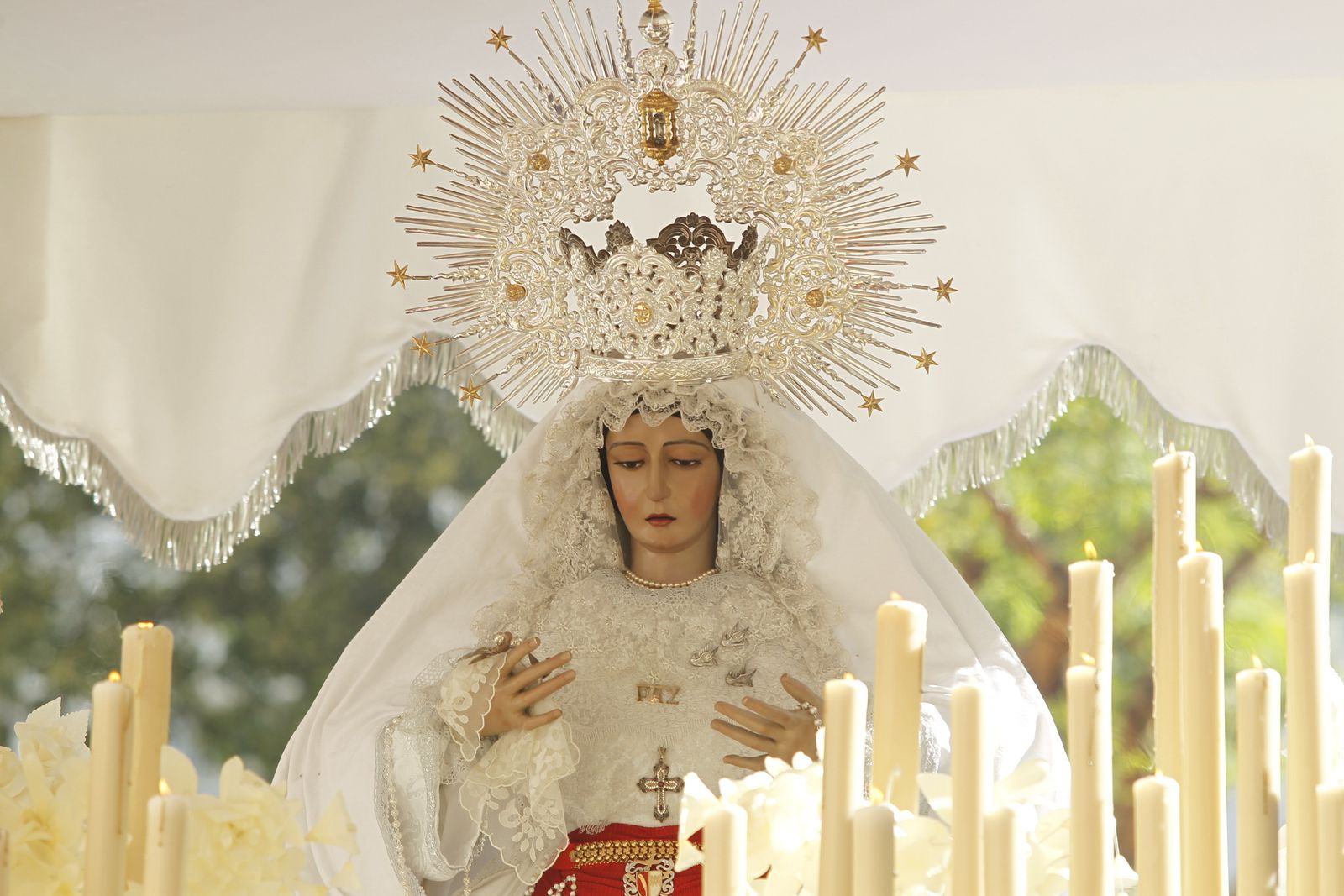 Imágenes Procesión de la Borriquita de Almería capital. Semana Santa 2019