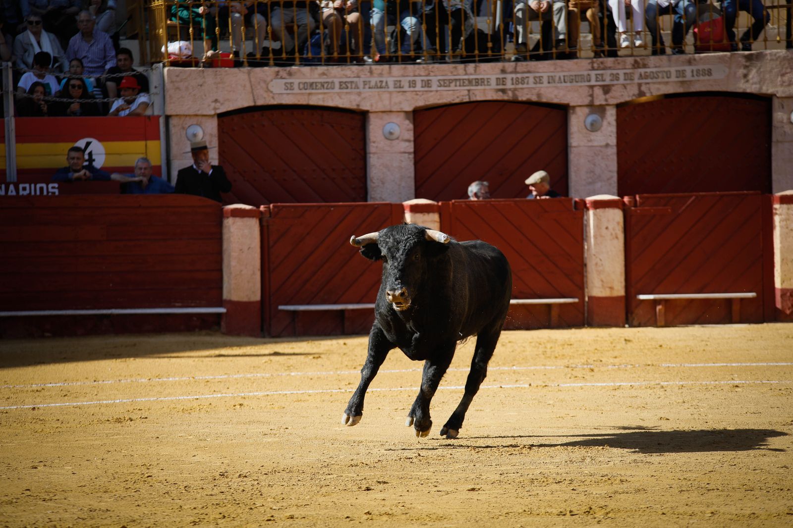 Imágenes del festival mixto lucha contra el cáncer