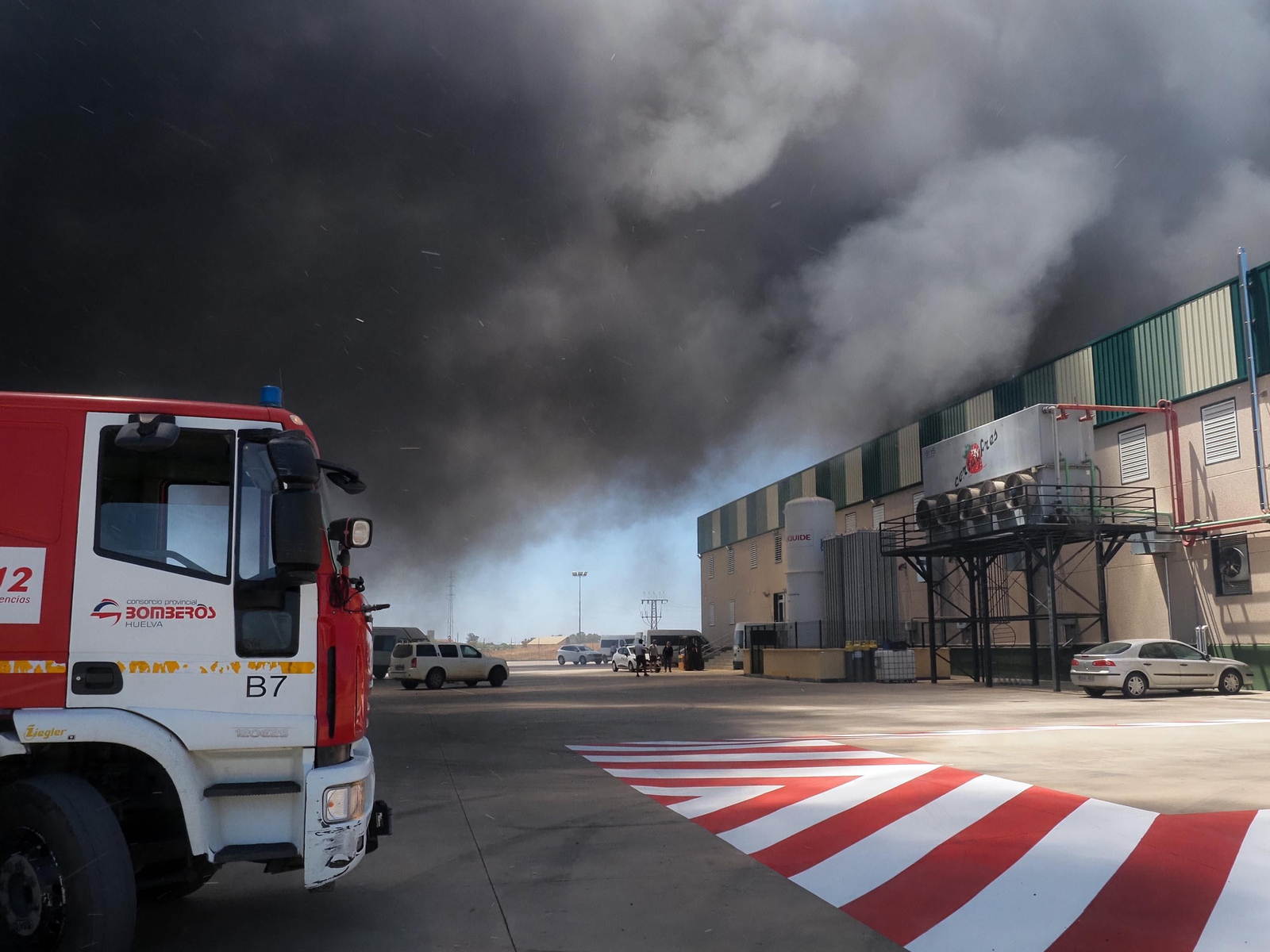 Las imágenes del aparatoso fuego que ha arrasado un vivero en Cartaya