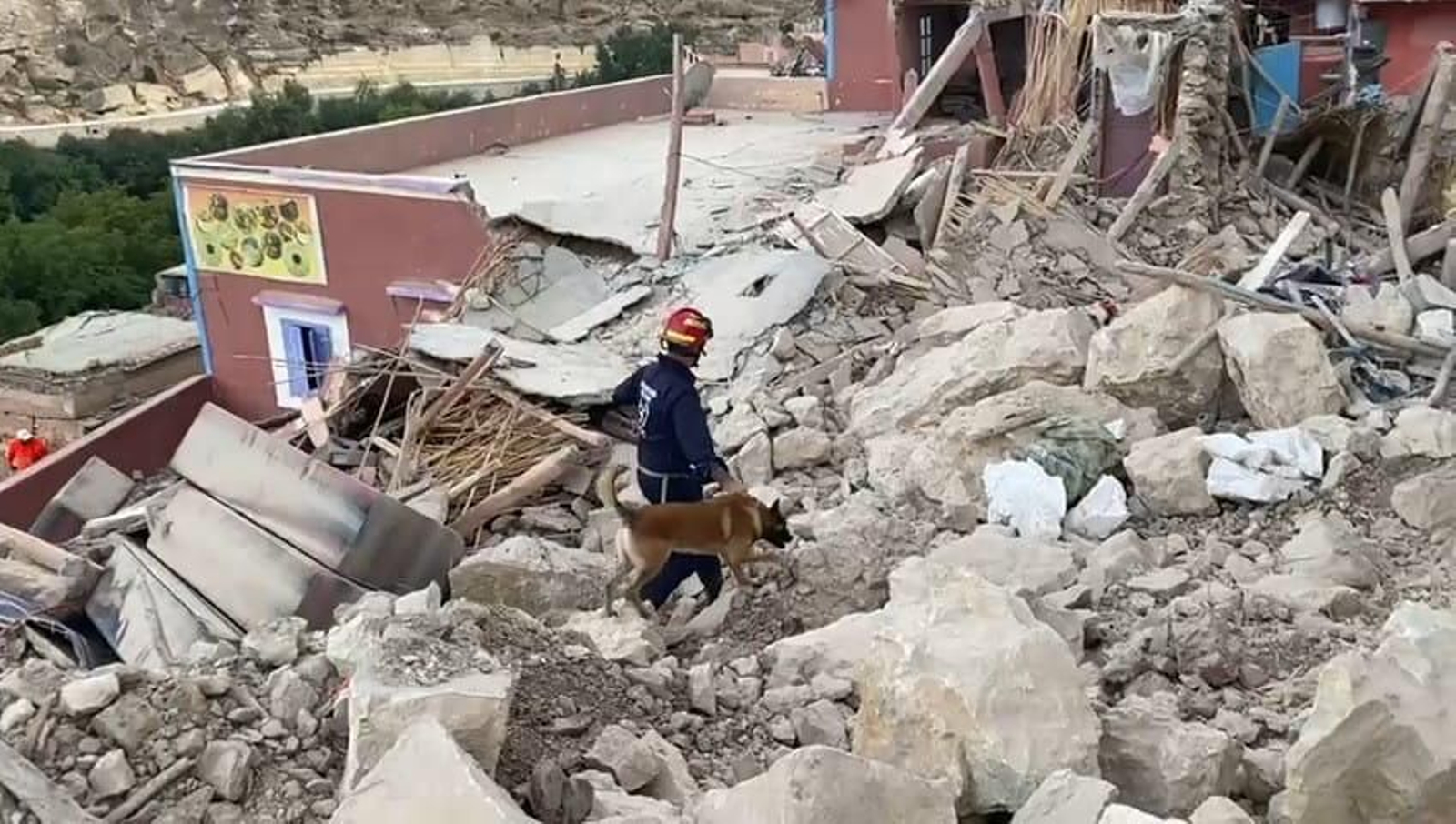 Un bombero busca vida bajo los escombros acompañado por un perro rescatista.