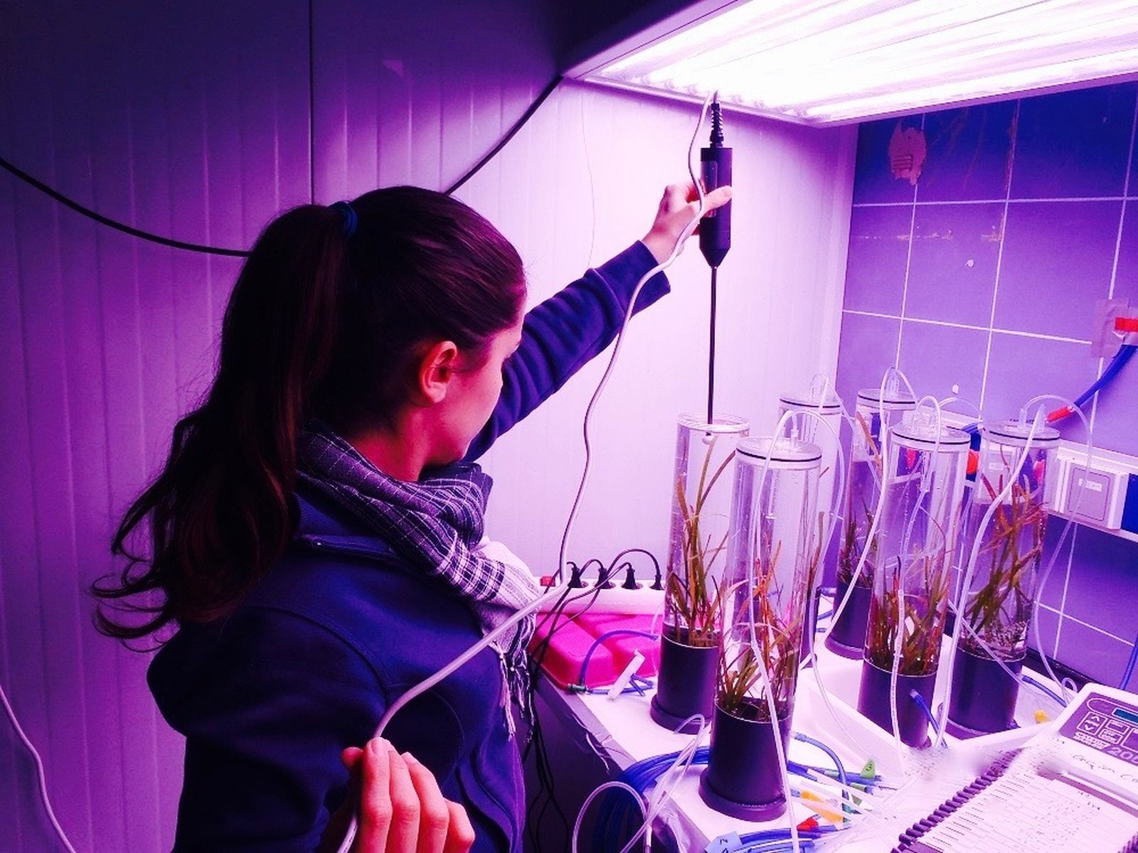 Investigadora de la UCA experimenta sobre la acción del cambio climático en las plantas.
