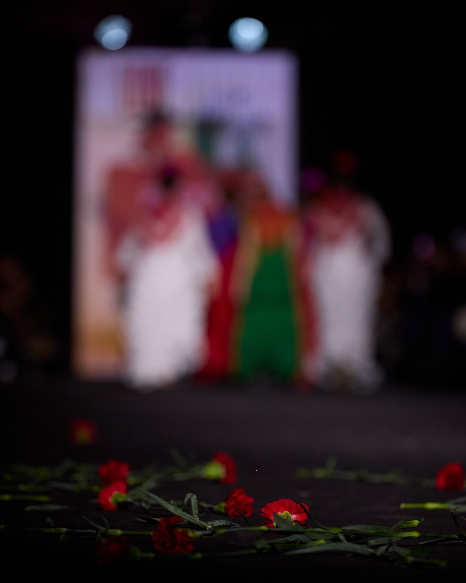 El desfile de Rocío Olmedo en We Love Flamenco 2026, todas las fotos