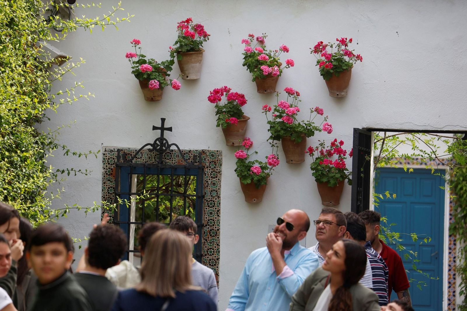 Los Patios del Palacio de Viana, en imágenes