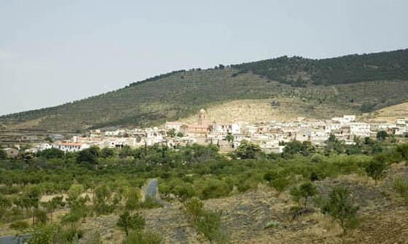 Ayuntamiento de Ferreira. Vista del municipio.
