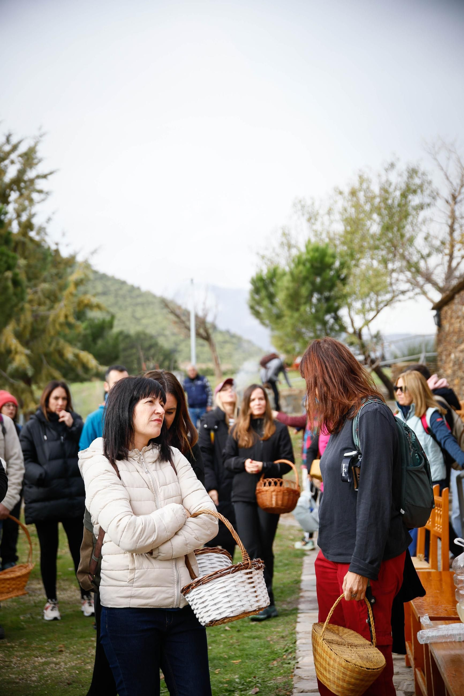 La ruta recolectora de setas en Abla por las XIX Jornadas Micológicas, en imágenes