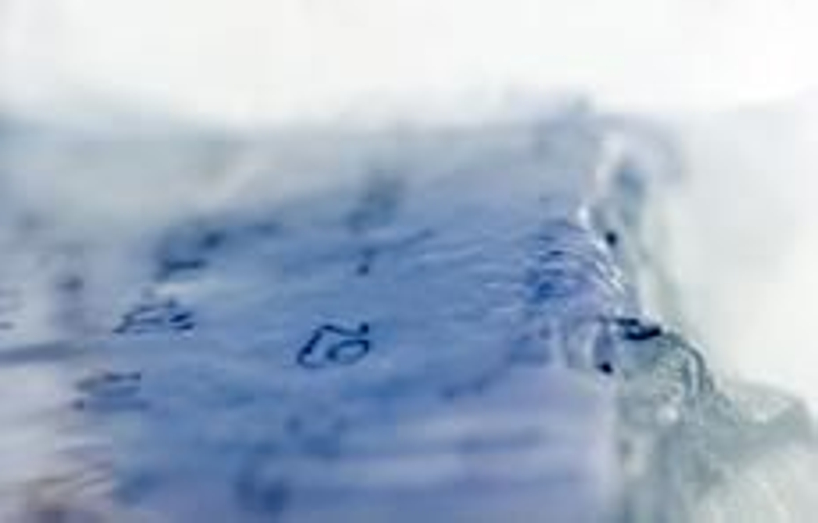 Jardín polar: Poesía azul