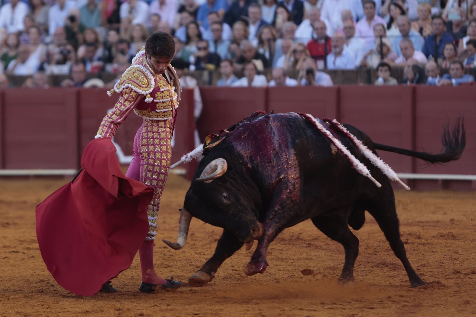 El triunfo de Castella en imágenes