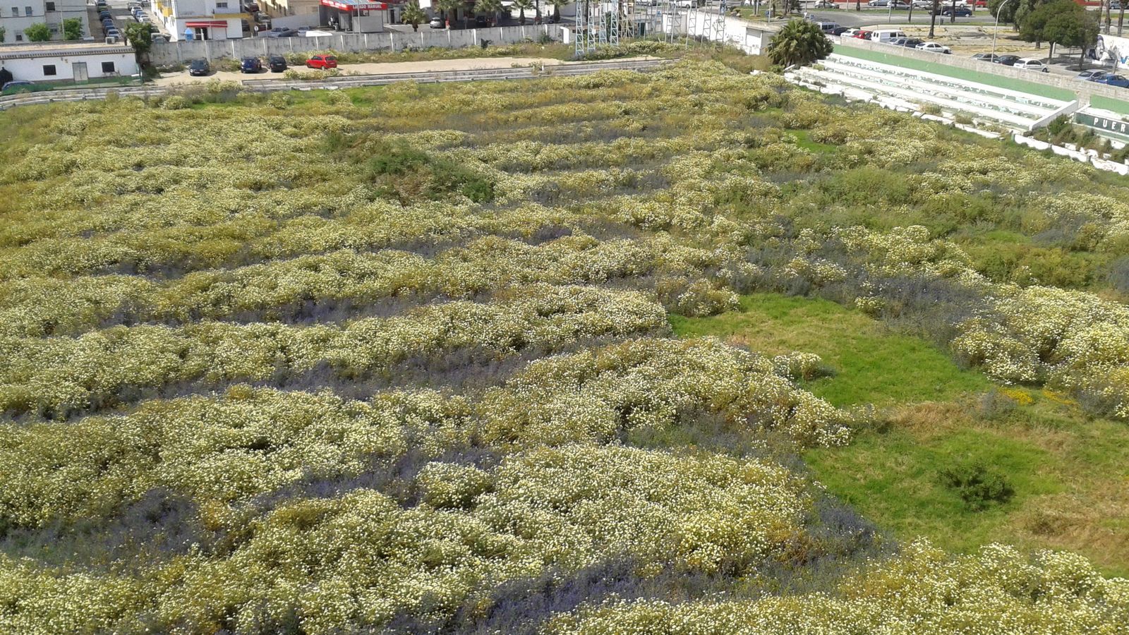 Antiguo campo de fútbol Sancho Dávila