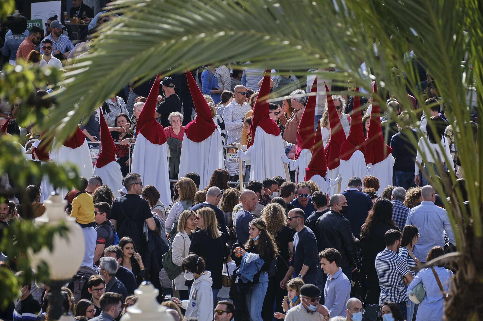 Cofradía de La Borriquita. Semana Santa de Cádiz 2022