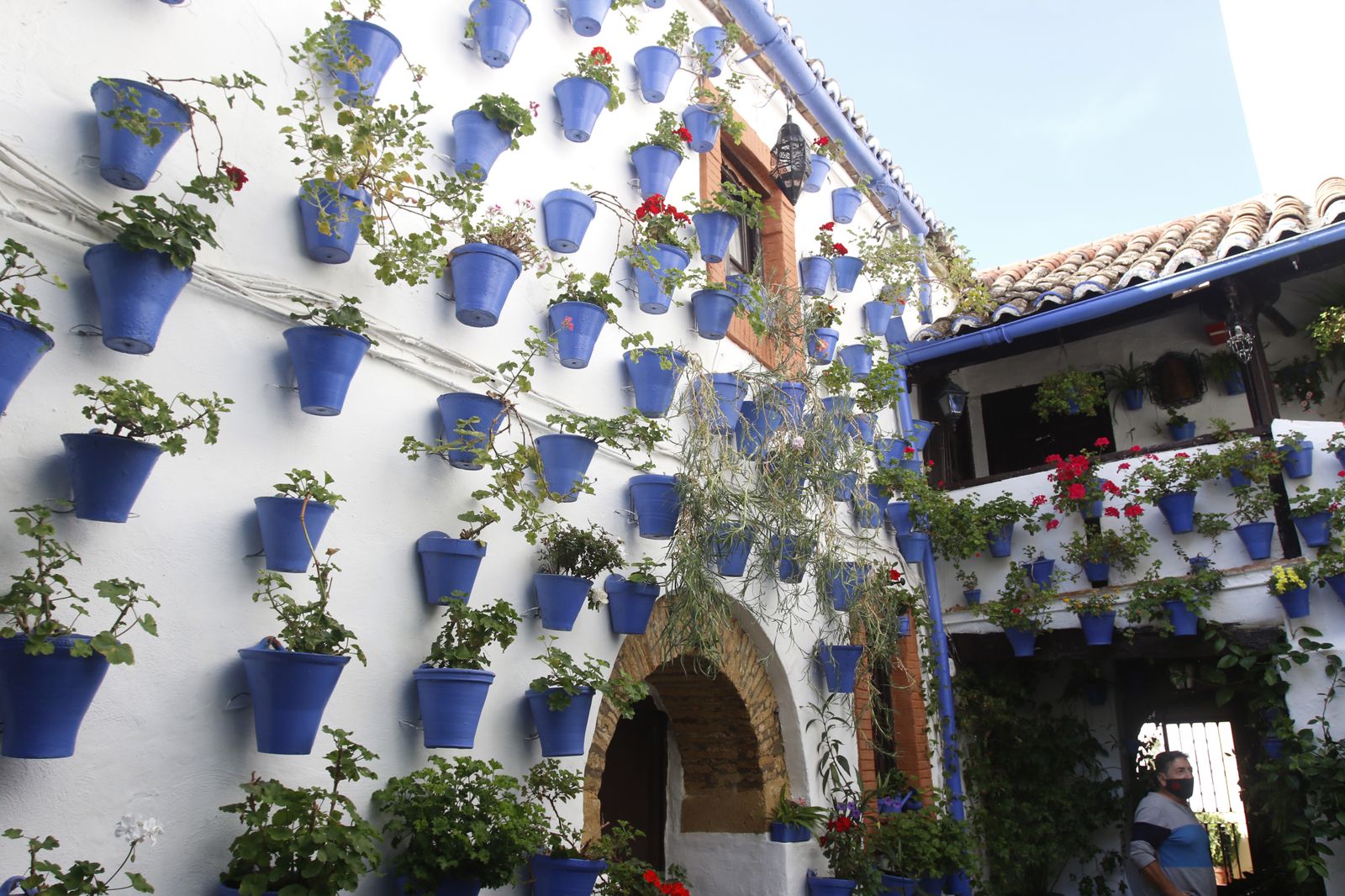 Las fotografías de los Patios de Córdoba en otoño