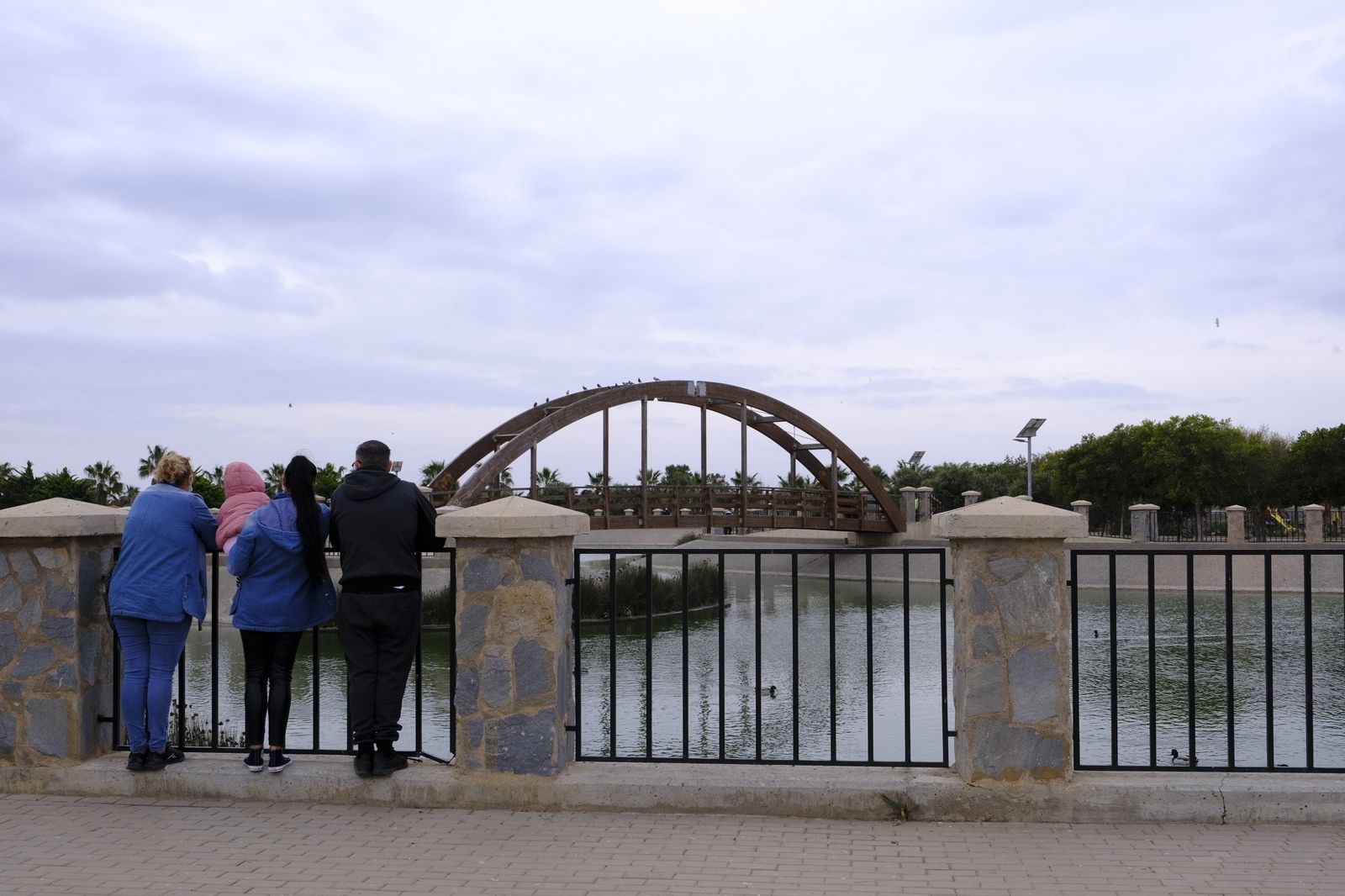 Plantación de árboles en el Parque del Andarax. Día de Andalucía.