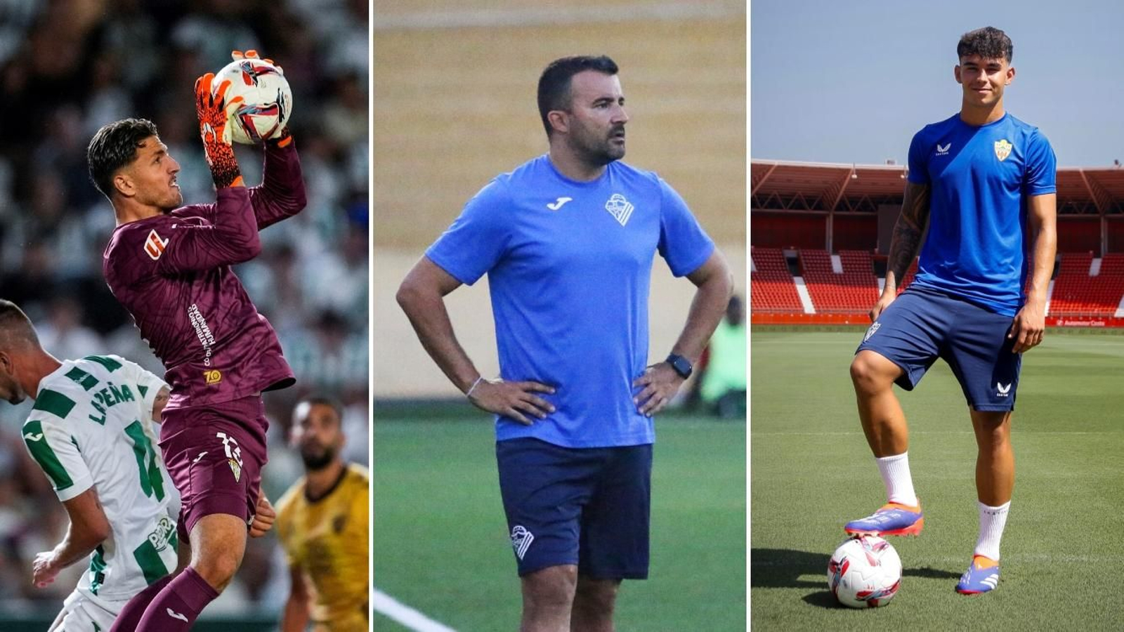 Carlos Marín, Carlos Hinojo y Marcos Peña, entre los nominados a estos premios.