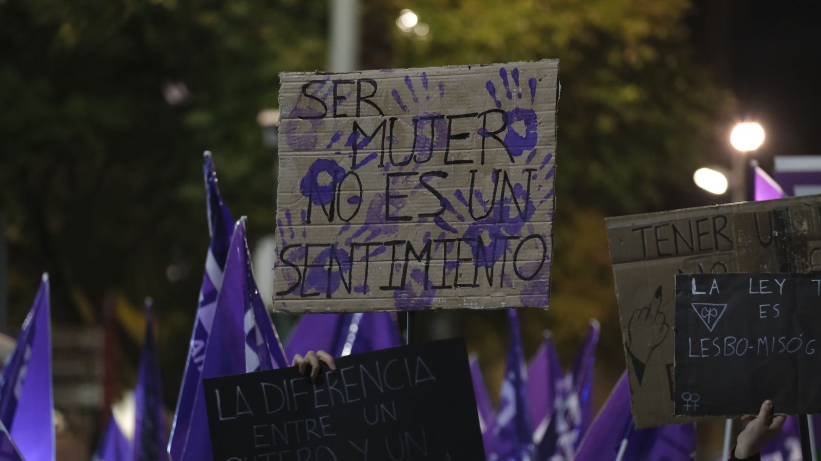 Imágenes de las manifestaciones por el Día de la Mujer en Almería