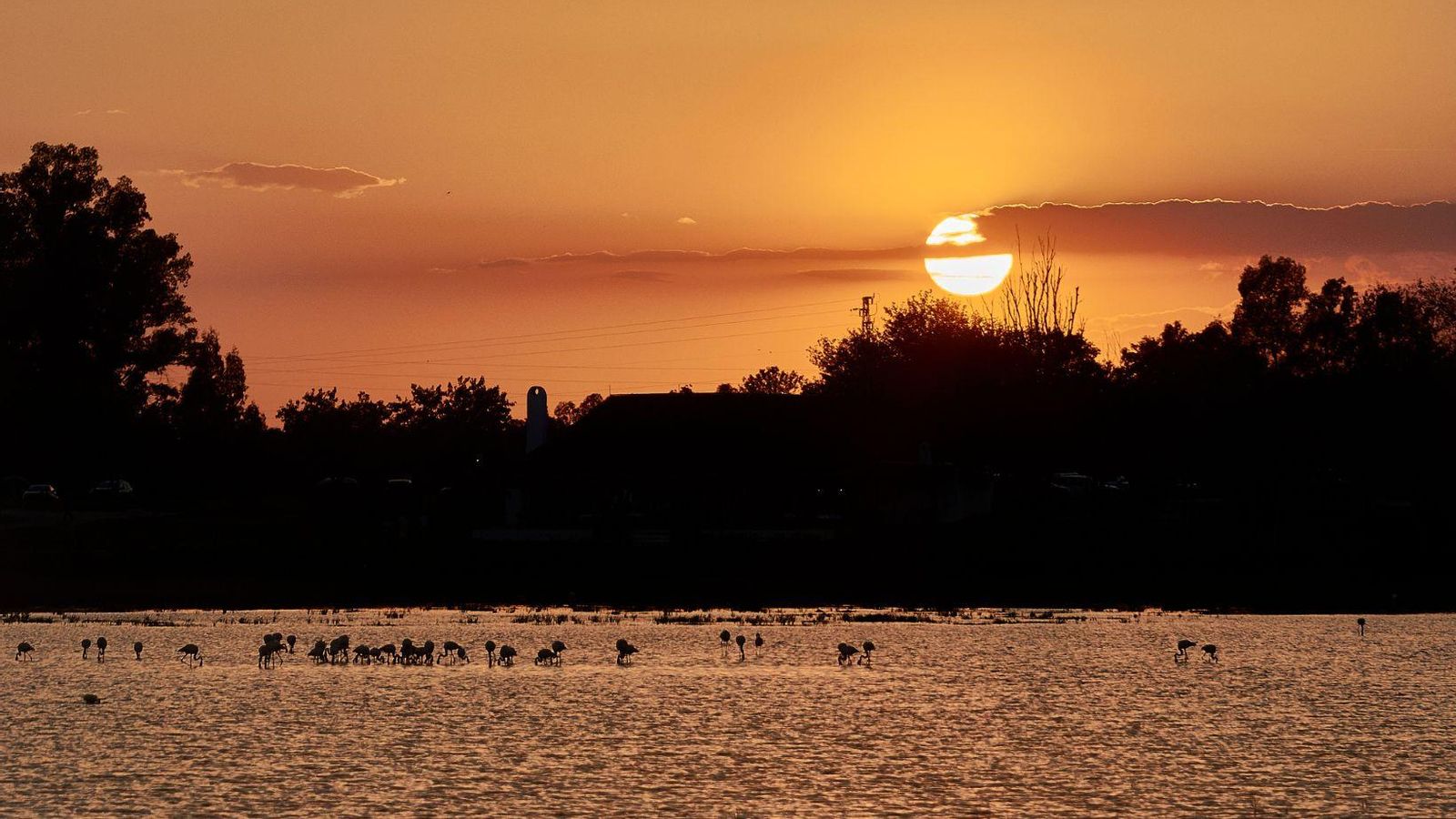 Parque Nacional de Doñana