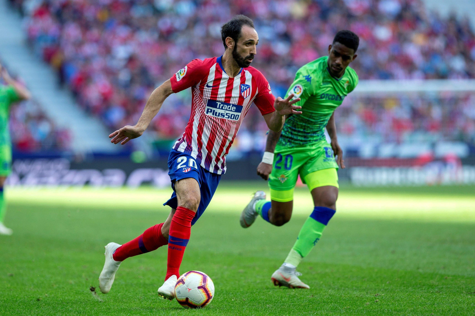 Las imágenes del Atlético de Madrid-Betis