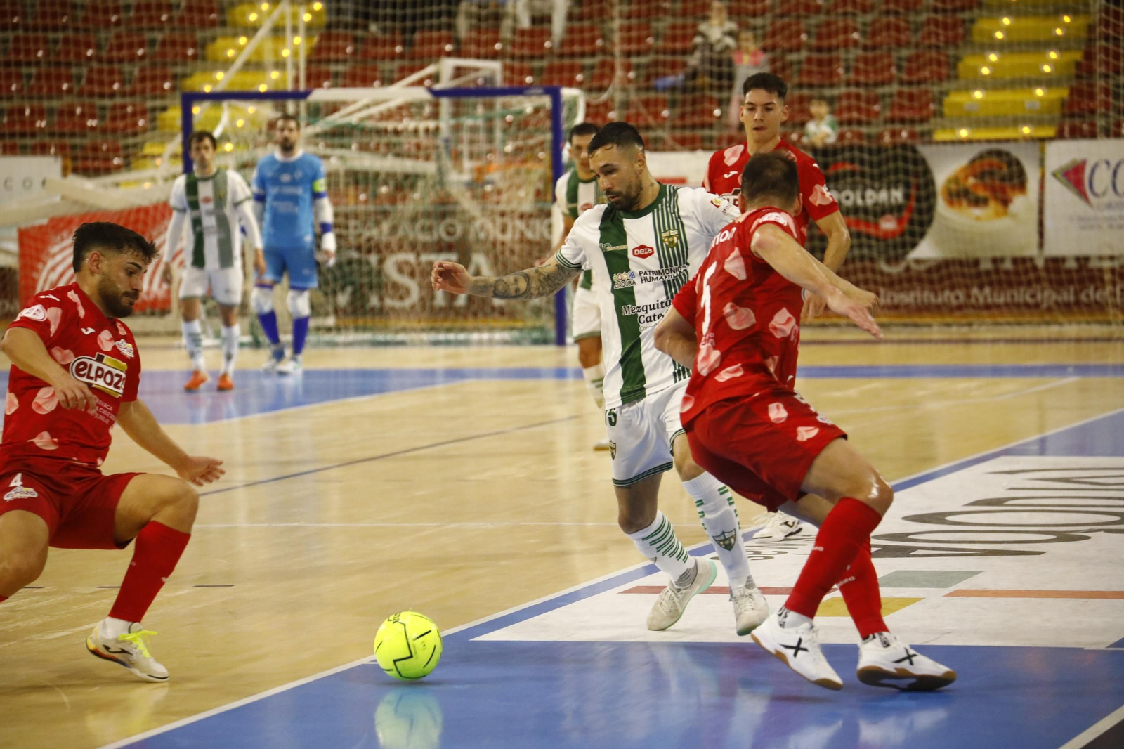 Las mejores fotos de la victoria del Córdoba Futsal ante ElPozo Murcia