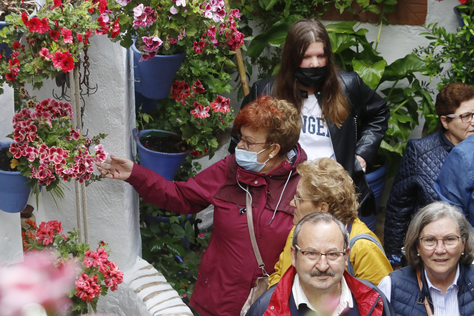 Los Patios de Córdoba reciben sus primeros visitantes, en imágenes
