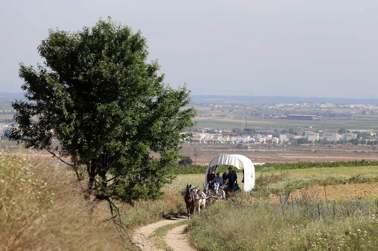 Imágenes de los presos de la cárcel de Huelva en su camino hacia El Rocío