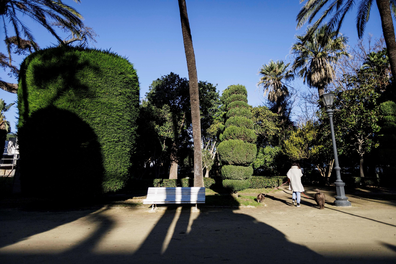 Imágenes del mal estado del Parque Genovés de Cádiz