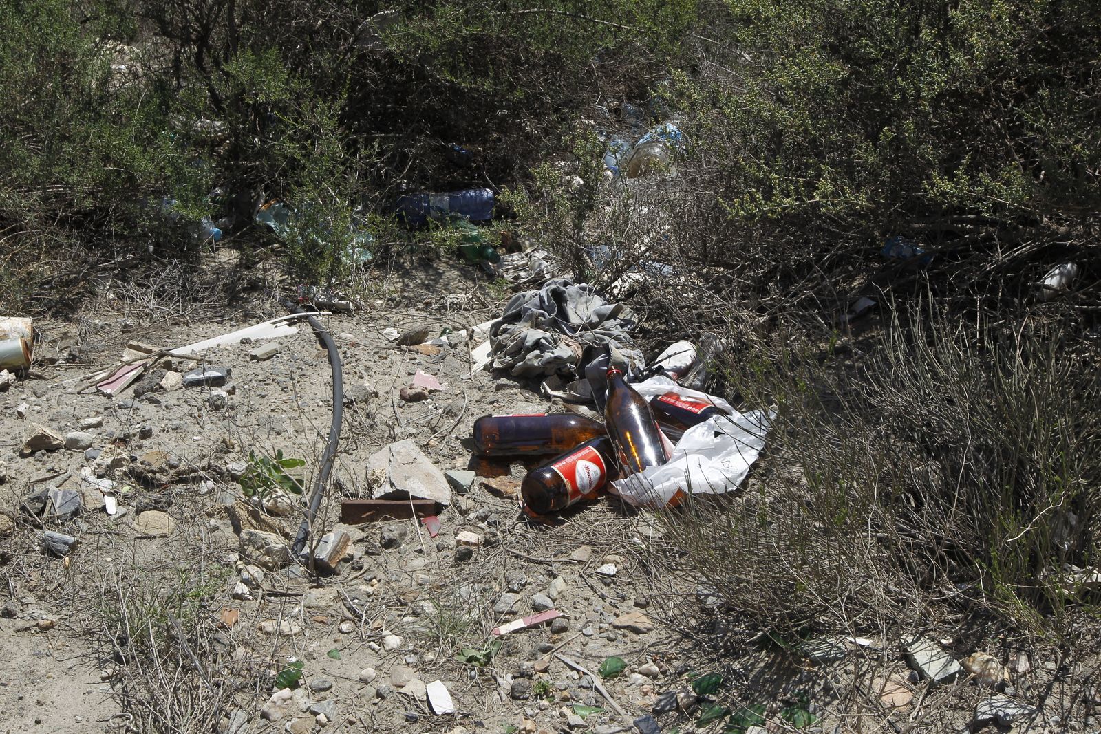 Fotogalería basura en el Desierto de Tabernas