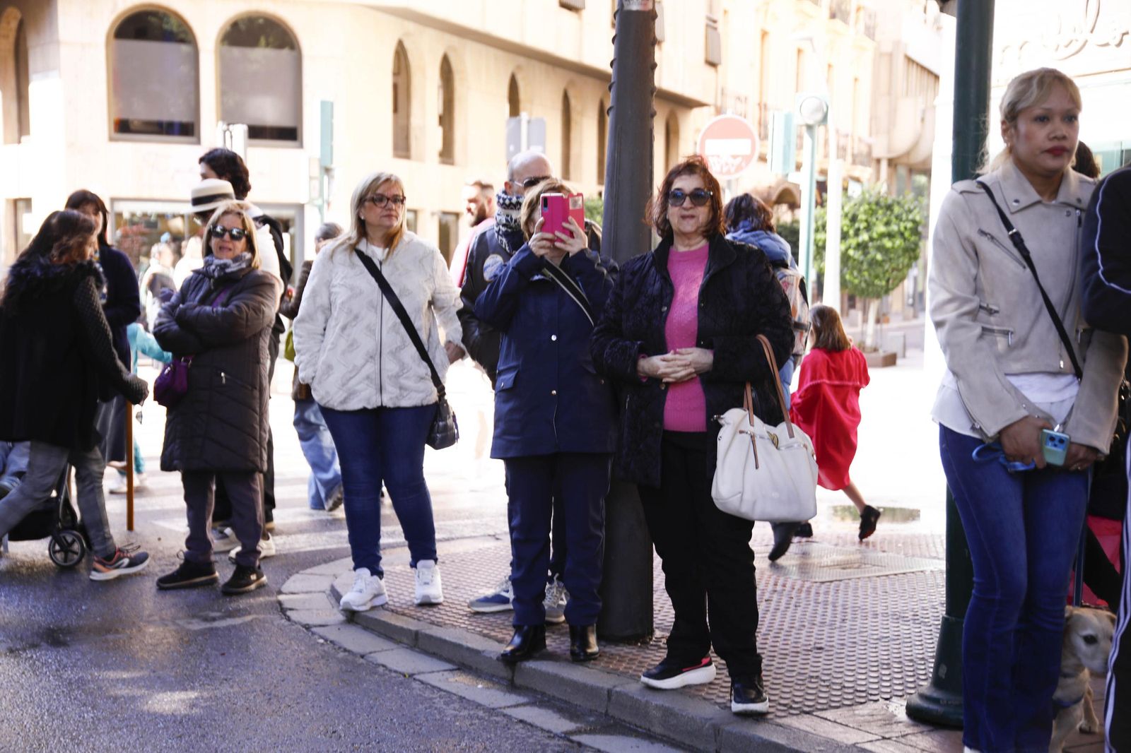 Las imágenes del entierro de la sardina en Almería
