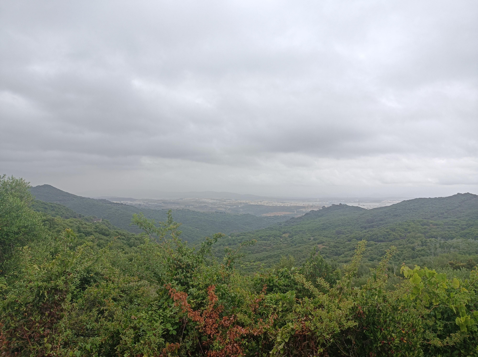 Desde el Cerro del Campanario tendremos una buena vista de Algeciras y su bahía.