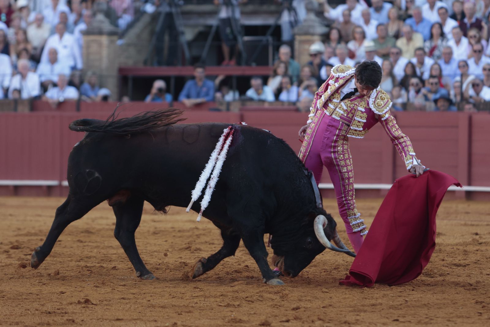 El triunfo de Castella en imágenes