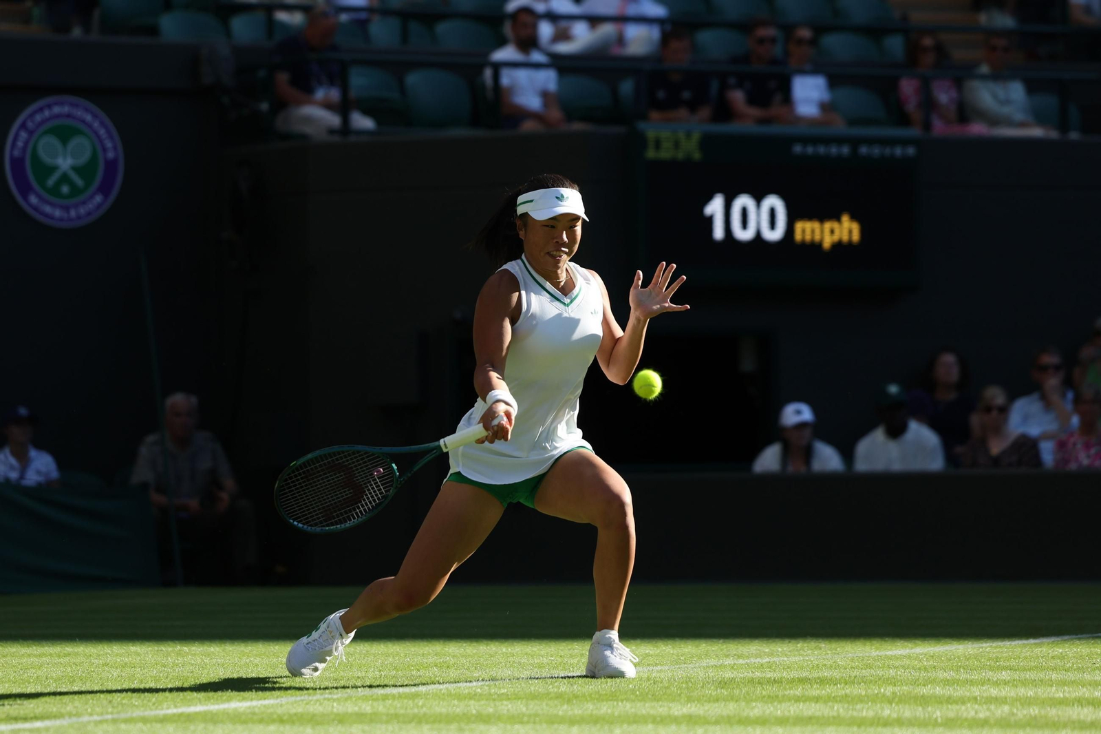 Wimbledon Championshi (13665652).jpg