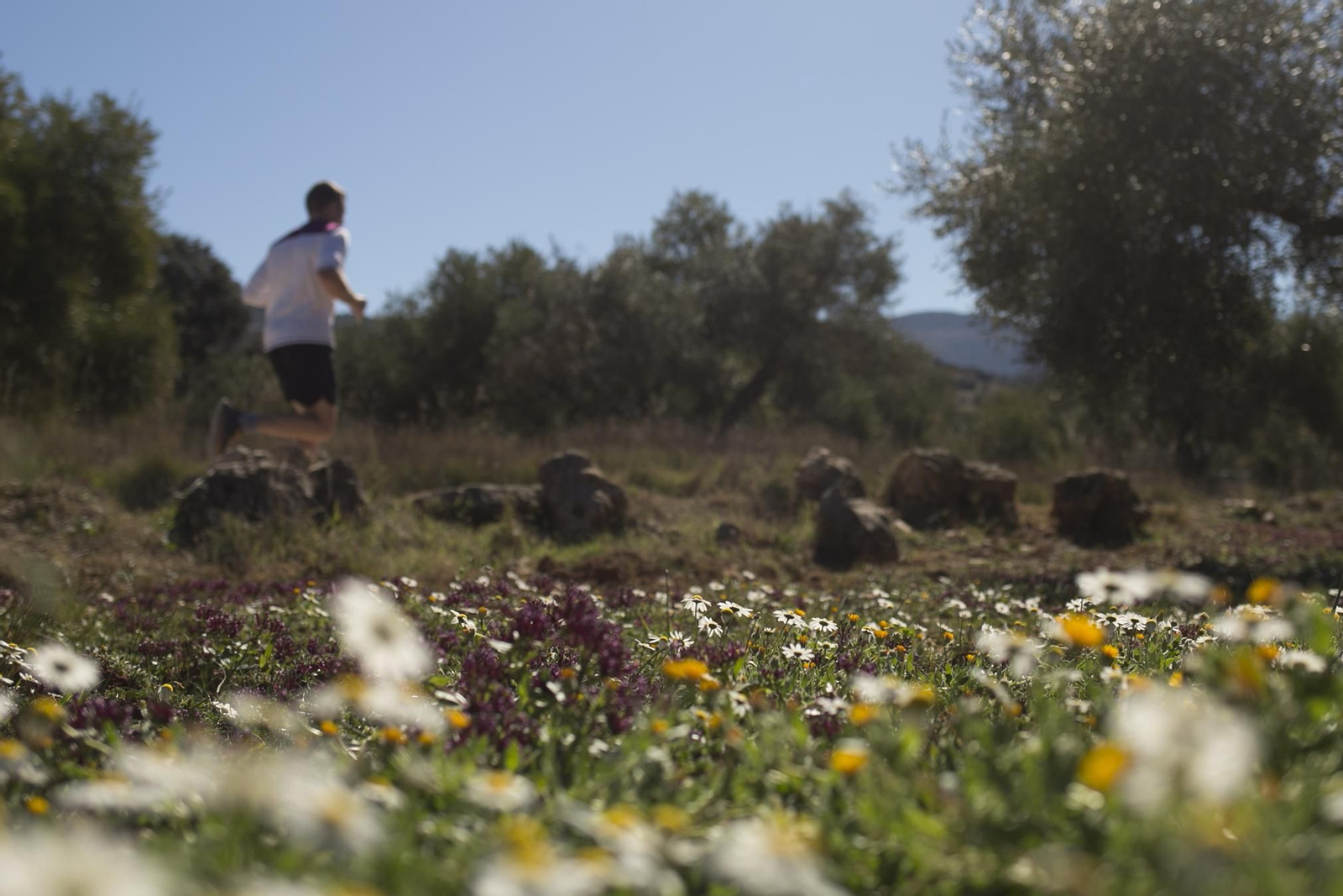 Imágenes de la primavera adelantada en Málaga