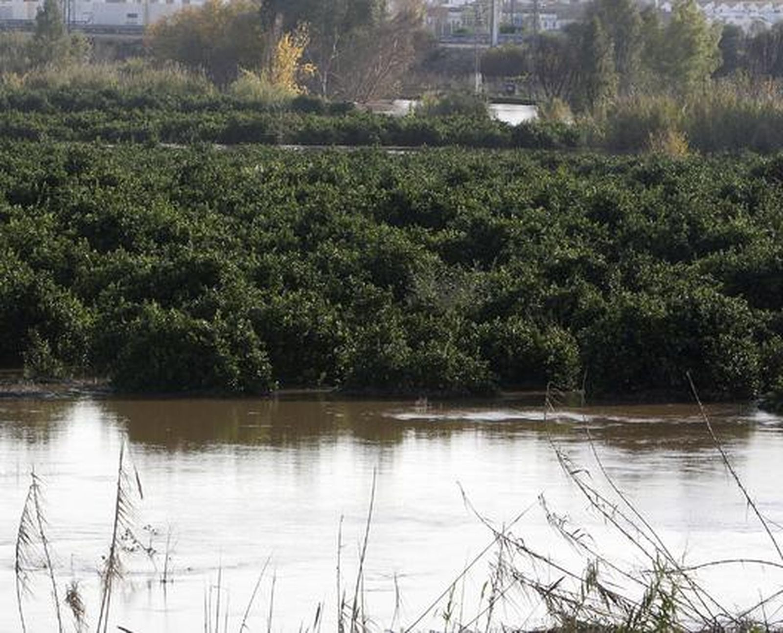 Foto: José Ángel García