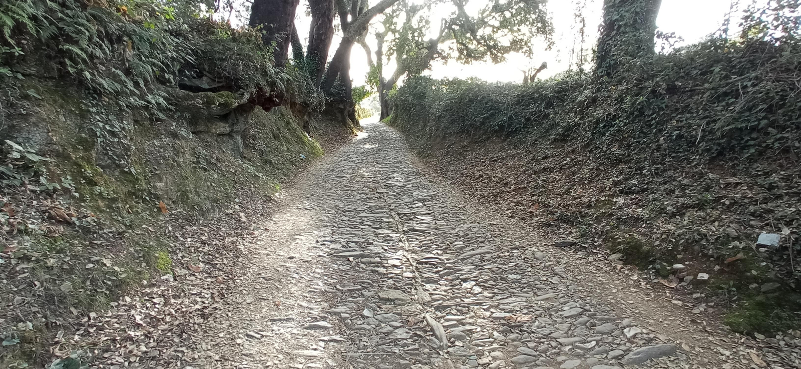 Las imágenes de la ruta de la Dehesa de Valdelama: De Los Marines a Fuenteheridos y vuelta