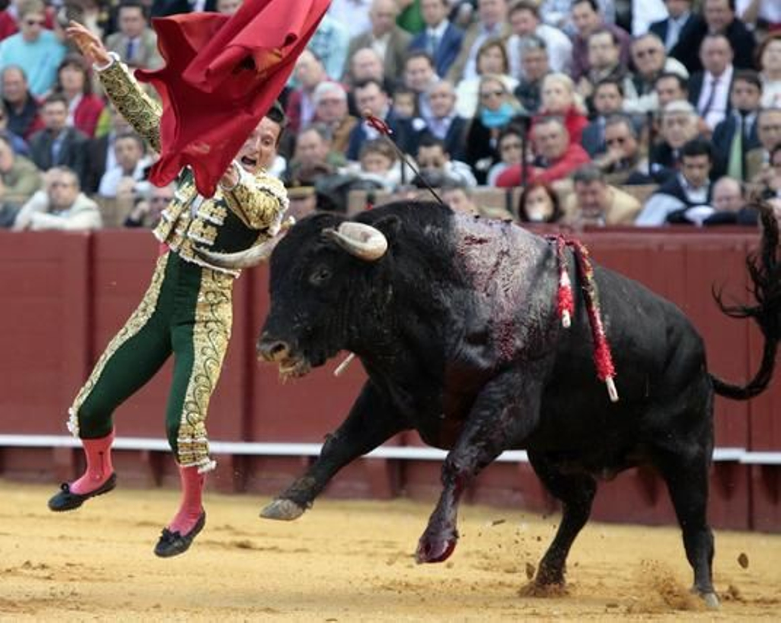Diego Urdiales sufrió un pequeño susto sin consecuencias.

Foto: Juan Carlos Muñoz