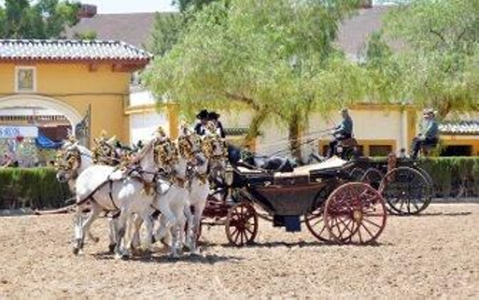 El caballo español se llama Paolo El caballo español se llama Paolo