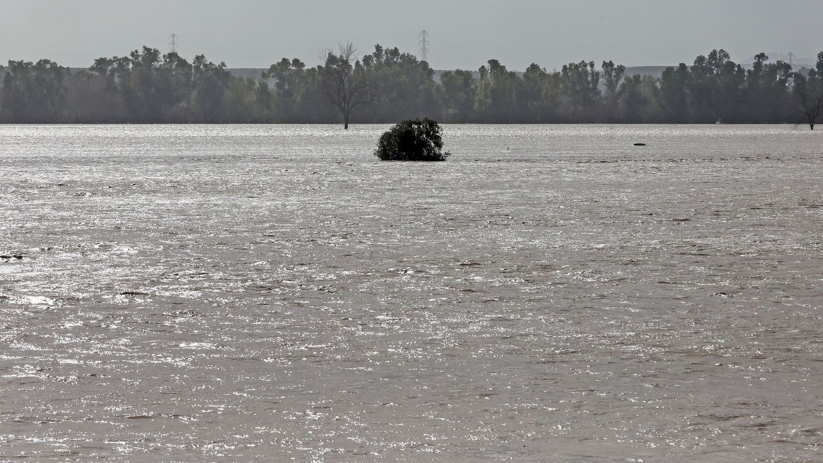 Así afronta la zona rural de Jerez la subida del río Guadalete