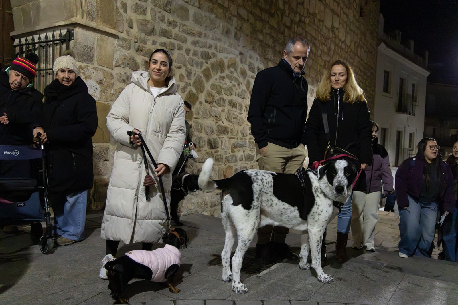 Encendido en Jaén de la lumbre oficial de San Antón 2026 y bendición de los animales