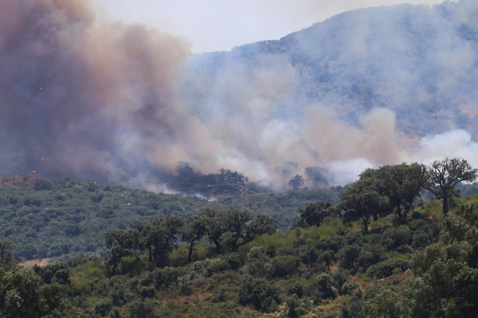 Las fotografías del incendio en el paraje de Botafuegos, en Algeciras