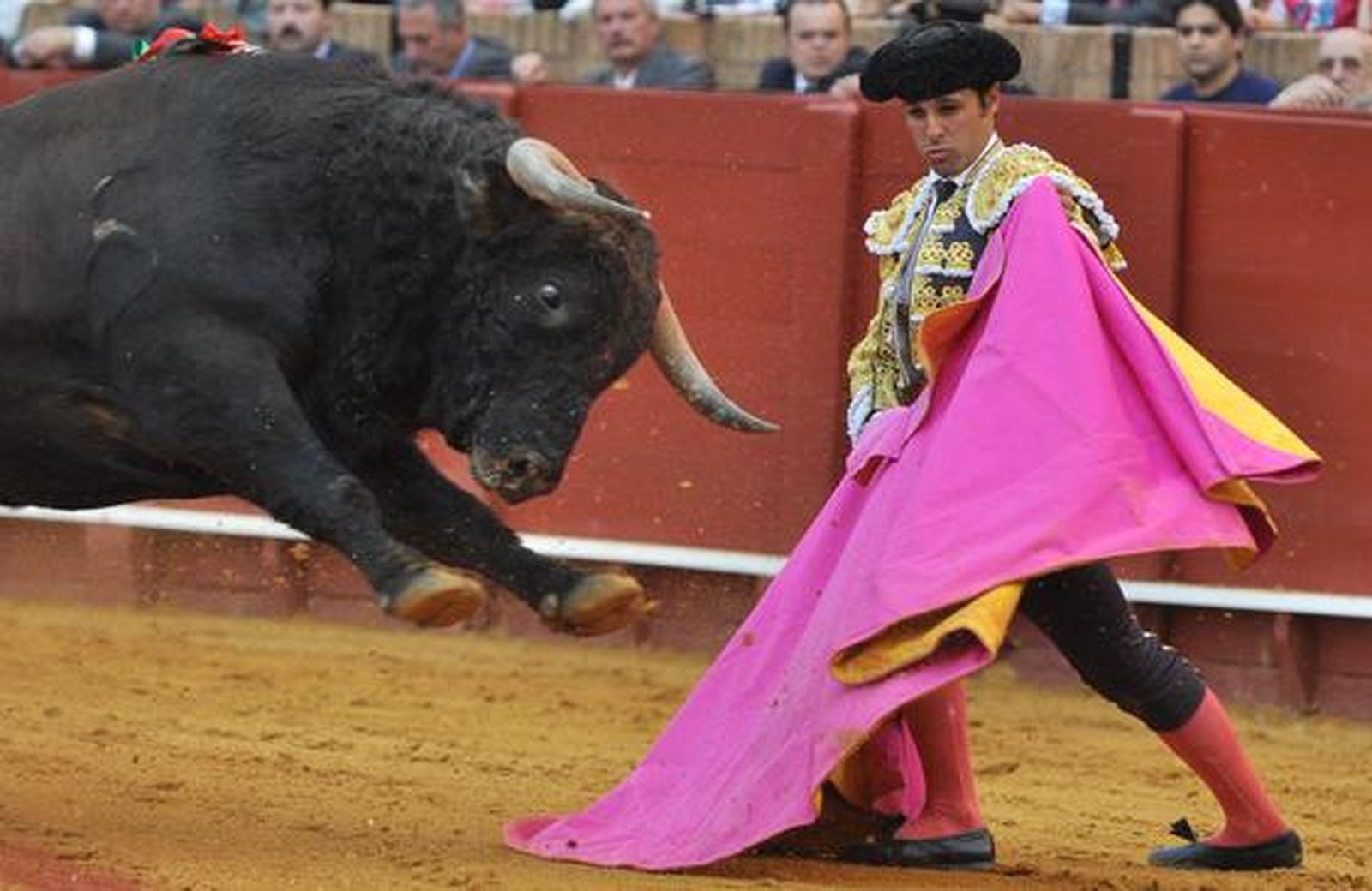 El Fandi rozó el triunfo ante Manuel Díaz 'El Cordobés' y Francisco Rivera Ordóñez. Discreta corrida en la que se torearon astados de la ganadería de Torrestrella. 

Foto: Manuel Gómez